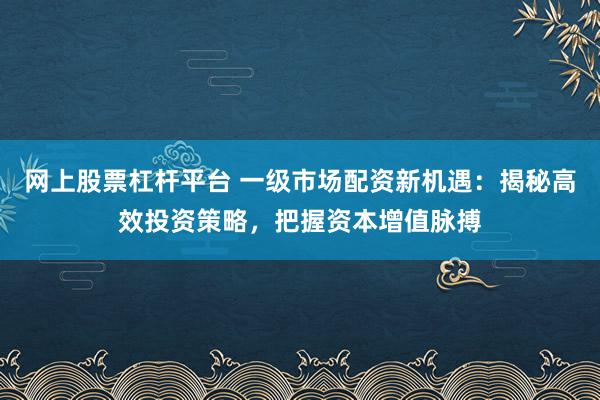 网上股票杠杆平台 一级市场配资新机遇：揭秘高效投资策略，把握资本增值脉搏