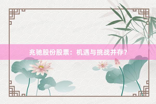 兆驰股份股票：机遇与挑战并存？
