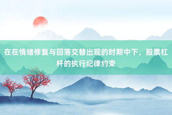 在在情绪修复与回落交替出现的时期中下，股票杠杆的执行纪律约束