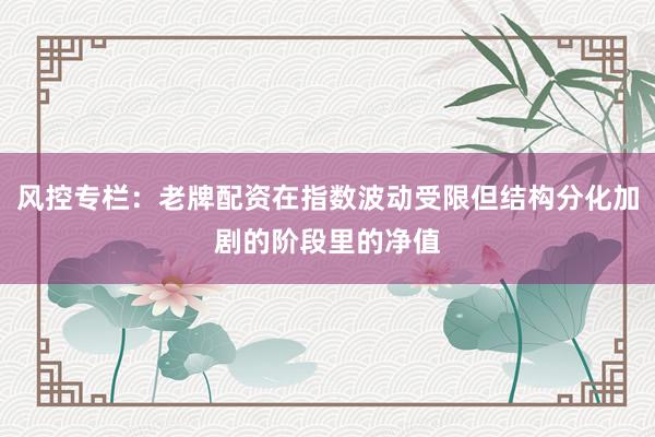 风控专栏：老牌配资在指数波动受限但结构分化加剧的阶段里的净值
