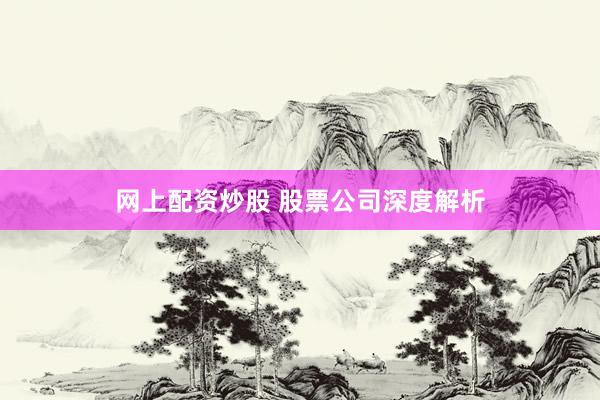 网上配资炒股 股票公司深度解析