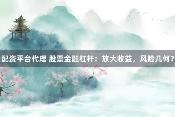 配资平台代理 股票金融杠杆：放大收益，风险几何？