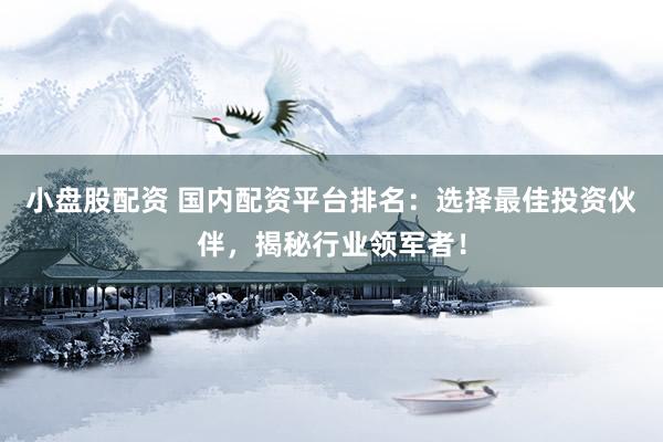 小盘股配资 国内配资平台排名：选择最佳投资伙伴，揭秘行业领军者！