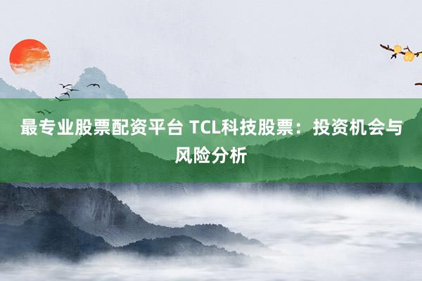 最专业股票配资平台 TCL科技股票：投资机会与风险分析